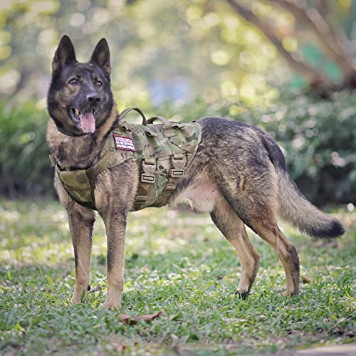 k9 training gear