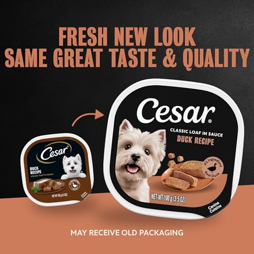 Image of Cesar Classic Loaf in Sauce Wet Dog Food, Duck Recipe, 3.5 oz, 24 Count | Made in USA, Real duck #1 ingredient, no fillers /added sugar /artificial flavors, use as meal or topper, easy peel trays