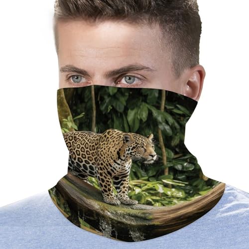 Neck Gaiter Face Mask Men Women, Tropical Palm Tree Face Mask Scart Cover for Dust Wind Sun Protection3