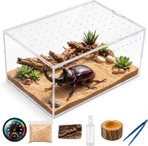 カブトムシ 飼育セット」の人気商品一覧・価格比較 - 価格.com