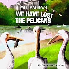 We Have Lost the Pelicans cover art