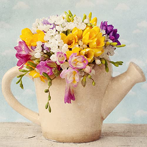 Bulbos De Flores Fresia Plantas Naturales Exterior Bulbos De OtoñO Fresia Flores Naturales Domicilio Plantas Aromaticas Mantillo Decoracion Hogar Plantas Decorativas 6 Bulbos Fresia Cover
