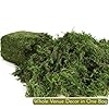 BYHER 16OZ Bulk Artificial Moss for Plants Indoor - Realistic Green Moss for Crafts, Fairy Garden Decor, Potted Plants, Olive Trees Artificial Indoor, Wedding Centerpieces, Fresh Green Faux Grass #2