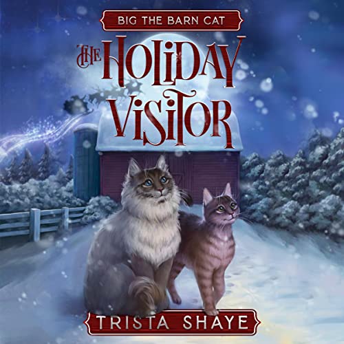 The Holiday Visitor by Trista Shaye episode artwork