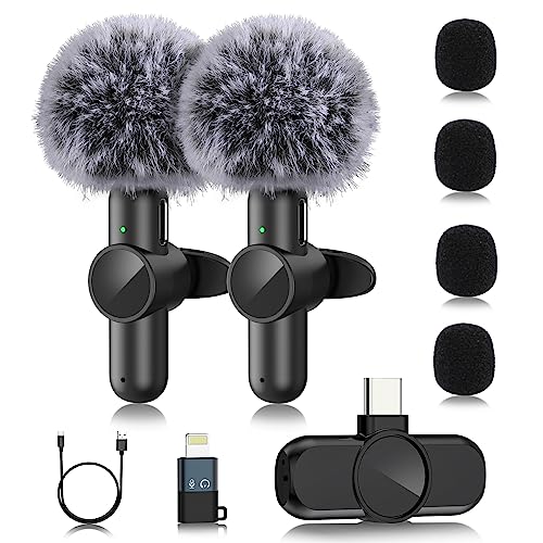 Best Microphone For Recording Nature Expert Review The Modern Record