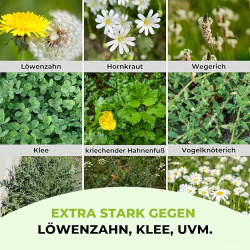 TerraUno Rasendünger mit Unkrautvernichter extra stark, 100 Tage Langzeitwirkung, 10 kg für 500 m², gegen Löwenzahn, Klee uvm., Rasenunkrautvernichter mit Dünger für saftiges Grün im Frühjahr & Sommer 5