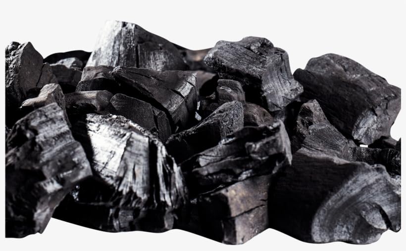 Bio charcoal for plants (2 kg) (B0CKXQ7R1L) Amazon Price History, Amazon Price Tracker