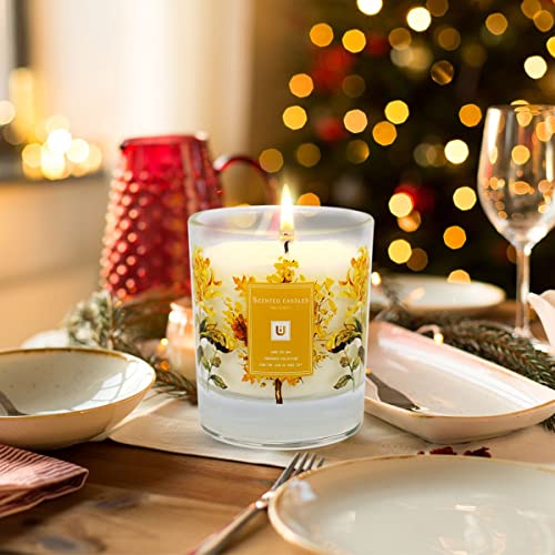 Henaler Scented Candles Aromatherapy Gifts For Women | 8 Ounce Jar Candle Long Lasting Scented Candles For Home | Stress Relief Soy Candles | Office Gifts For Womenorange & Bergamot #TOP3