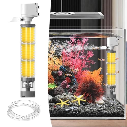 Filtre pour aquarium de poissons et tortues d'eau douce