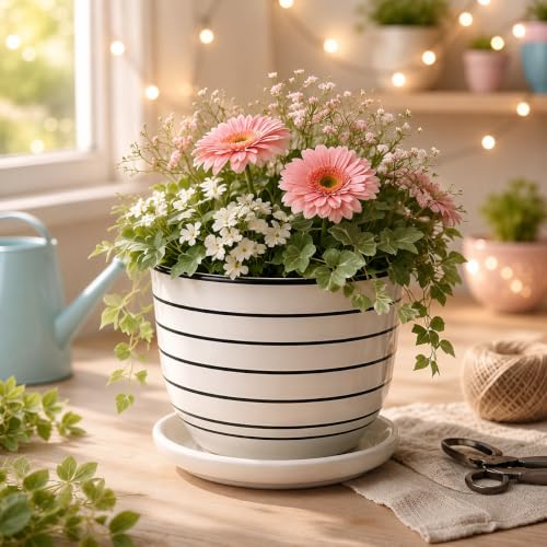 Xtore® Ceramic Striped Planter with Tray Figurine | Gloss Finish ...