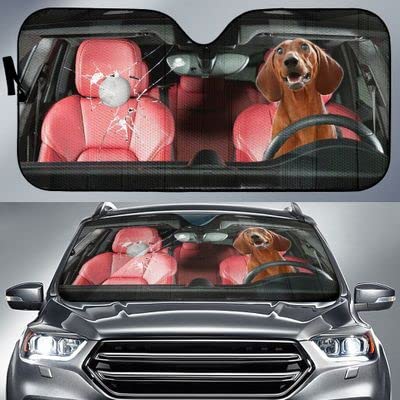 Pare-soleil avant intérieur haute durabilité pour auto et camion M