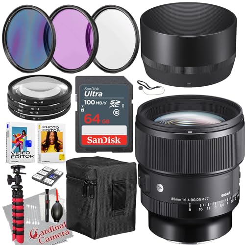 SIGMA 85mm DG DN sony + K&F マグネット ND8 SIGMA 85mm DG DN sony + K&F マグネット ND8 - メルカリ