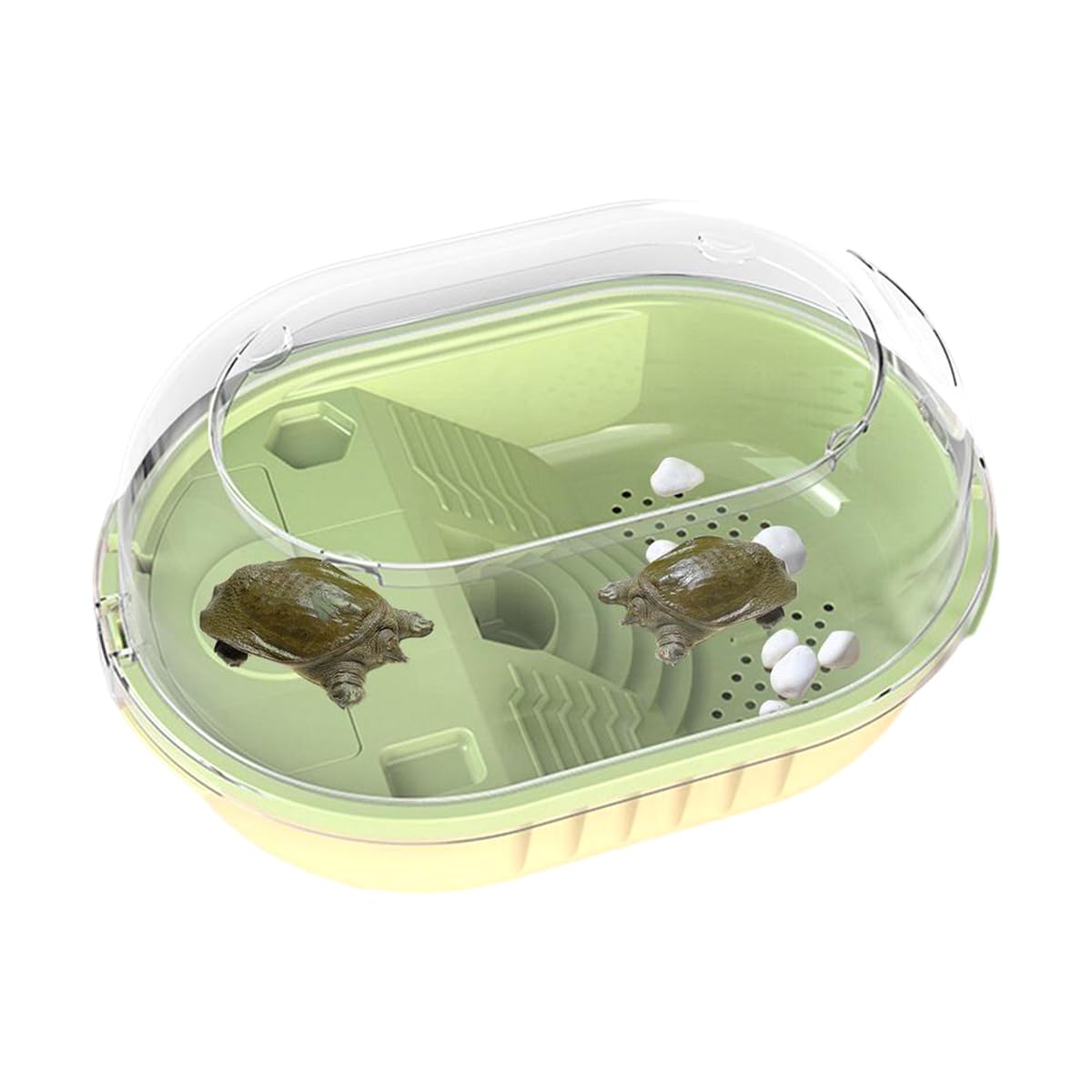 ANTOLE Turtle Aquarium, Reptile Habitat With Platform Plants for Turtle and Reptile (Large)