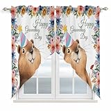 Lsrtoss Happy Groundhog Day Swag Valances for Windows 2 Pack, Kitchen Window Curtains 36 Inch Length, Cute Ground Rat Flower Bushes Leaves Privacy Swag Curtains for Living Room/Bathroom 36'x36'