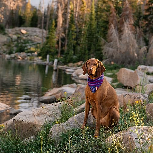 Image of Wilderdog Dog Bandana with Lightweight Quick Drying Poly-Blend Mesh Material in Big Sky