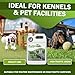 ProVetLogic Kennel & Turf Care- Floor Cleaner, Synthetic Pet Turf Cleaner, Deodorizer & Drain Maintainer (Concentrated)- 1/2 Gallon