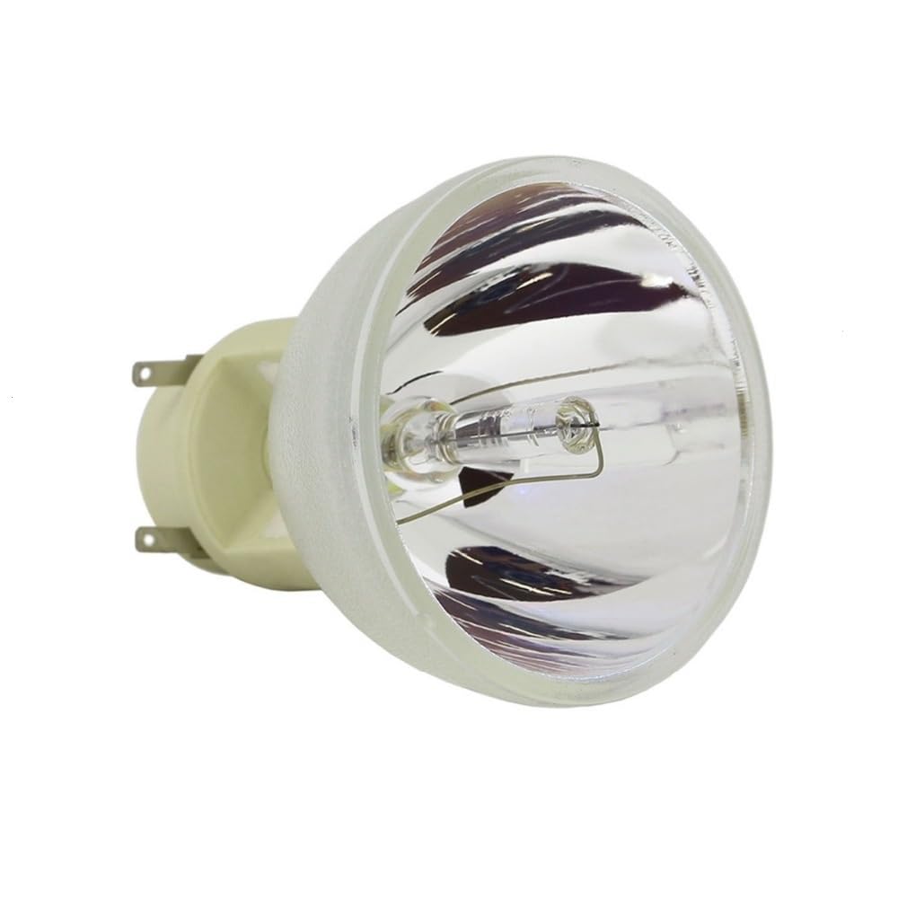 Rembam 1018580 Projector Replacement Compatible Lamp With Housing - View #2