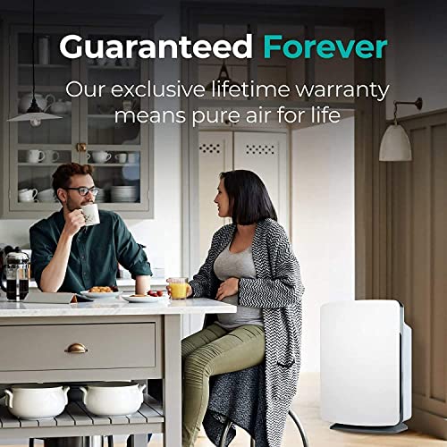 Alen Breathesmart Classic H13 Hepa Air Purifier, Air Purifiers For Home Large Room W/ 1100 Sqft Coverage, Medical-Grade Air Cleaner For Mold & Bacteria, Up To 12 Mos. Filter Life, Weathered Gray #TOP5