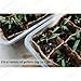 Housolution Seedlings Starter Trays, [10PCS] Biodegradable 12Grids Peat Pots for Gardening Seed Starter Tray, Eco-Friendly Plant Starting Pots Germination Container, 120 Cell Pack