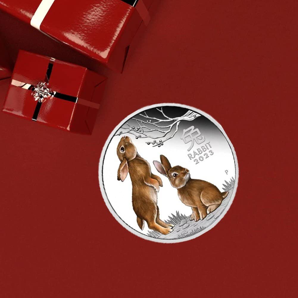 Amazon.co.jp: うさぎ 記念コイン 動物 記念硬貨 銀貨 カラフル お土産