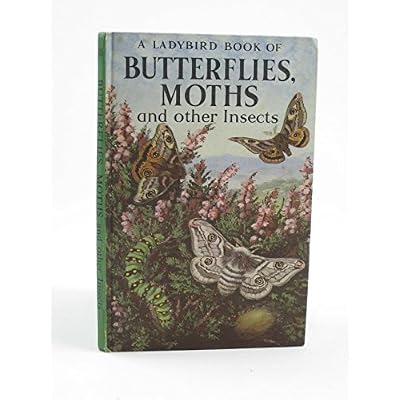 Butterflies, Moths and Other Insects
