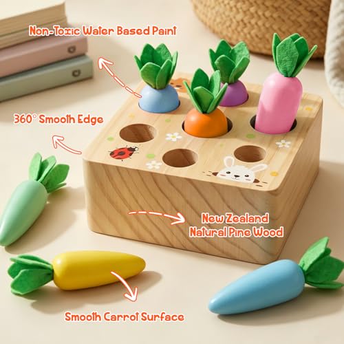 Image of Wdmiya Montessoritoys for 1 Year Old, Wooden Toys Developmental Shape Sorting & Matching Puzzle Macaron Carrots Harvest Game, Birthday Gifts for Toddlers Babies Boys and Girls 6-12 Months Christmas
