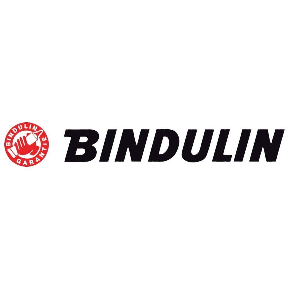 Bindulin BFL9/L dwuskładnikowy zestaw kleju do szkła/porcelany, biały