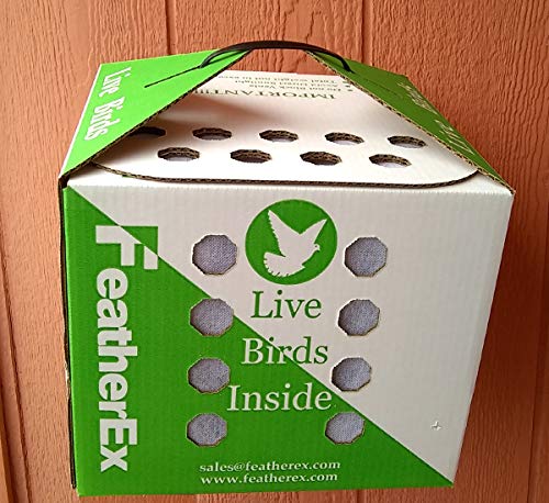 Three Pack of 12 x 12 FeatherEx Boxes : Live Bird Shipping Boxes