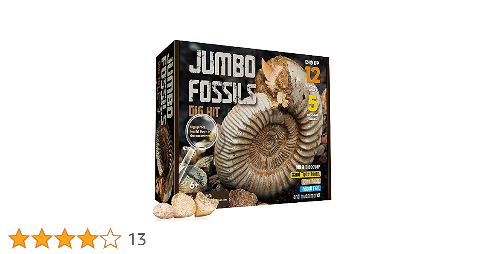 【本物の化石】小型生物の化石 木製ボックス付き Amazon | XXTOYS 化石 発掘 キット 化石標本 クリスマス 天然
