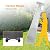 LUCKYERMORE Pyramid Patio Propane Heater, 42,000 BTU Heavy Duty Quartz Glass Tube Flame Heater with Wheels Propane, Stainless Steel
