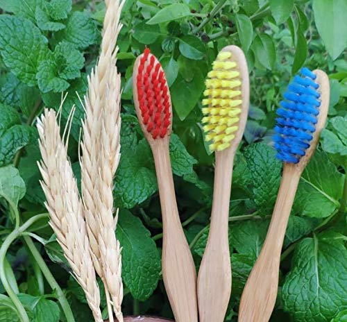 Escova de Dente de Bambu Amarela, Ekological