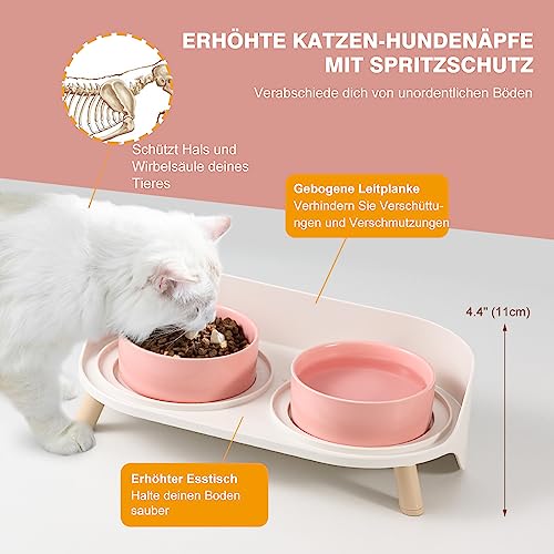 Katzen Napfset Katzennapf Erhöht Keramik - Doppelt Katzennäpfe mit Rutschfestem Ständer und Spritzschutz - Fressnapf Katze Napf - Futternapf Wassernapf Set für Katzen Welpen Kleine Hunde - 2 x 480 ML