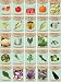 Set of 25 Premium Vegetable & Herb Seeds - 25 Deluxe Variety Premium Vegetable & Herb Garden 100% Non-GMO Heirloom - 2019 Seeds
