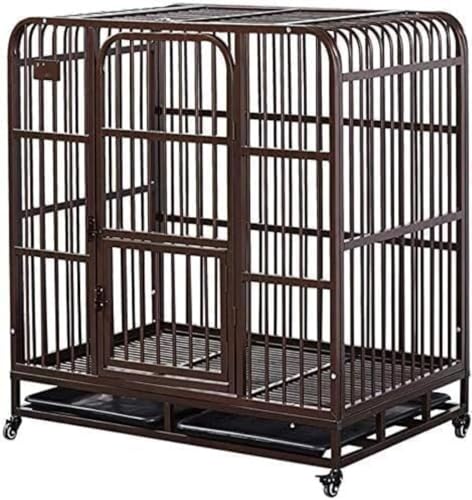 gCgCt 傫ȋP[W qAtFX Ep