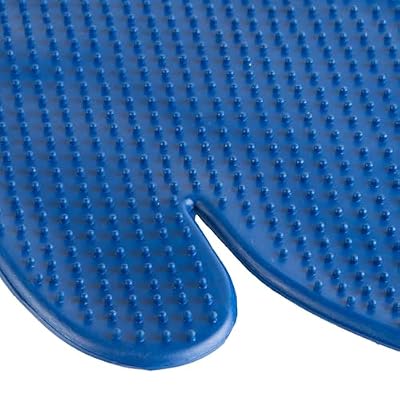 Rubber Horse Massage Mitt, Blue