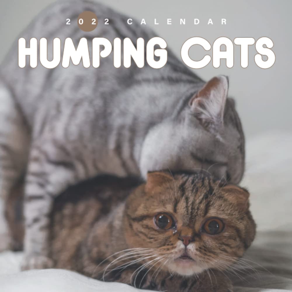 Humping Cats Calendar: Special Funny Gag Calendar make Everyone Laugh - Great Gifts for Adults