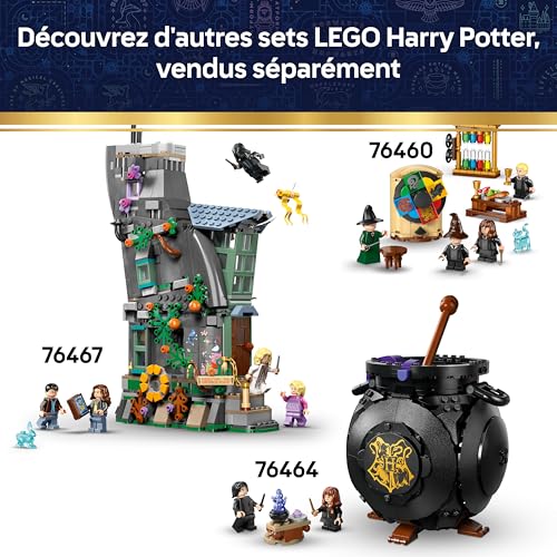 LEGO® Harry Potter™ 76463 Le château de Poudlard : ’infirmerie - vue 10