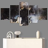 SIGNWIN 5 Panel Canvas Wall Art Abstract Aerial Contemporary Mixed Media Modern Art Multicolor Texture for Home Decorations Ready to Hang - 60