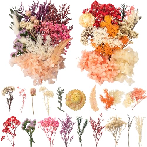 LAUMOE 2 Sätze Trockenblumen Klein, Trockenblumen zum Basteln, Getrocknete Blumen Deko für Kunst Basteln Dekoration