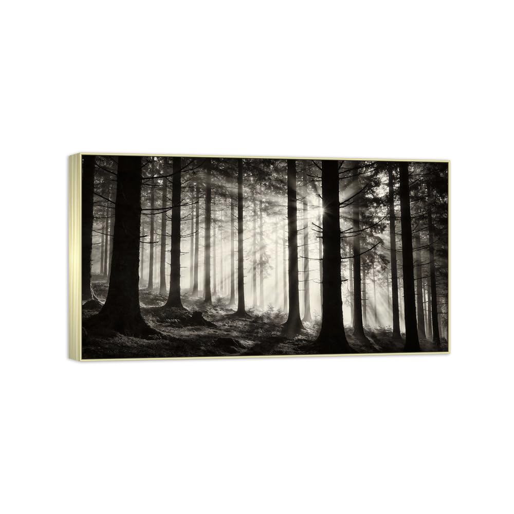 Tree Sunshine Black White Landscape Canvas Picture 60x108cm Silver Frame