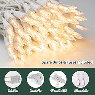 LAMPHOME 100 Mini LED Count Warm White -String Lights - 21.6FT LED Christmas Lights, Mini led Lights for Outdoor Home Holiday Party Wedding Independence Day Decoration