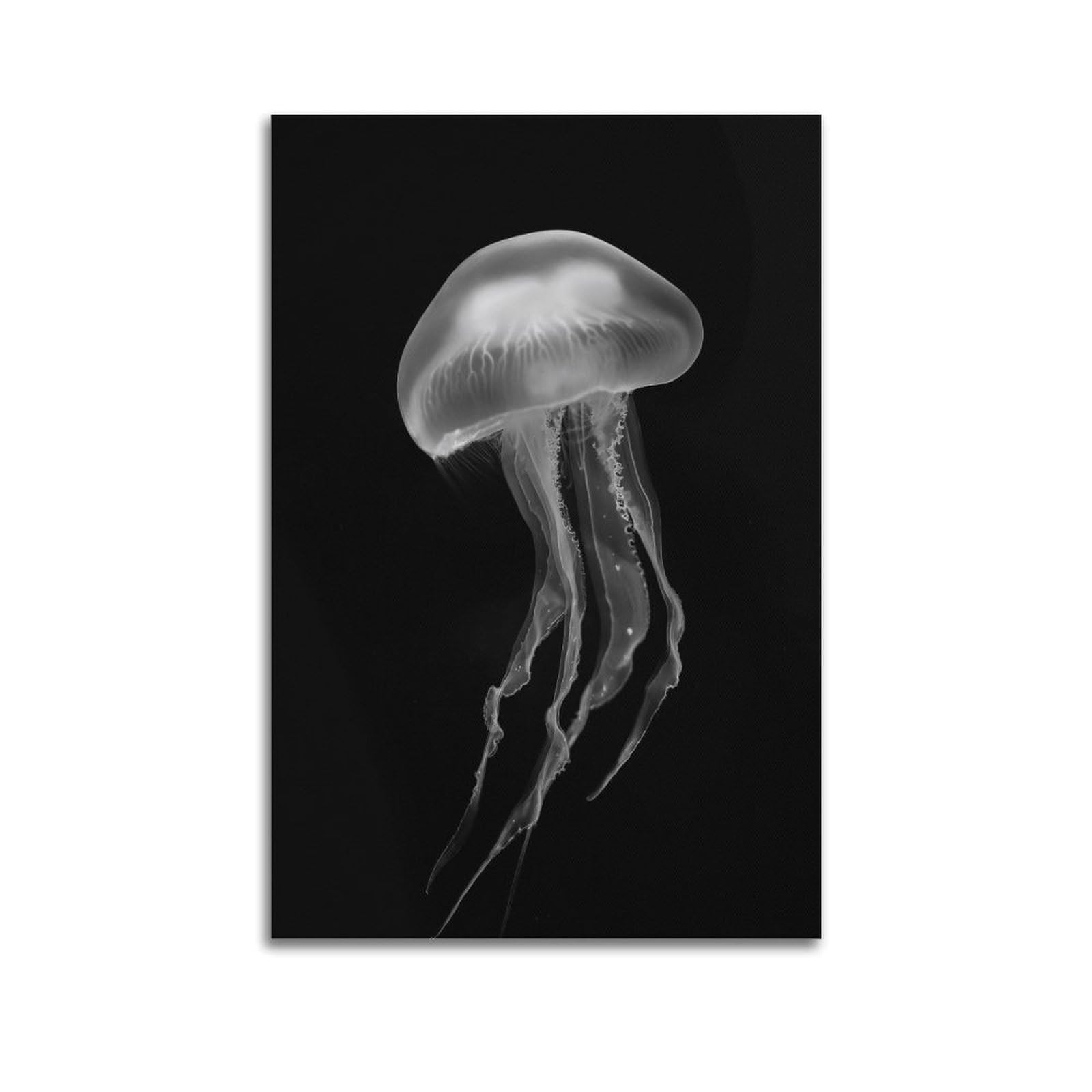 WPHSFX Marine Animal Poster Transparent Jellyfish Poster Decorative Painting Canvas Wall Posters And Art Picture Print Modern Family Bedroom Decor Posters 20x30inch(50x75cm)