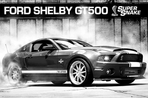Empire Merchandising 603272 - Póster Mural Ford Shelby GT500 Supersnake (91,5 x 61 cm)