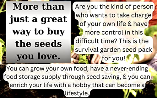 30 Vegetable & Fruit Seeds For Planting Your Outdoor & Indoor Home Seed Garden, Survival Gear Kit Includes 5900 Seeds, A Growing Guide & Mylar Package Gardening Heirloom Non-Gmo Veggie Seed B&Km Farms #TOP4