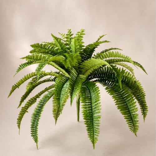 Image of MASON HOME Artificial Grove Fern Plant - 2 Feet | Realistic Plant - Trees - Flowers | Indoor Tropical | Home - Shop - Office - Cafe | Gifting - Decor - Ambience - Durable | No Maintenance