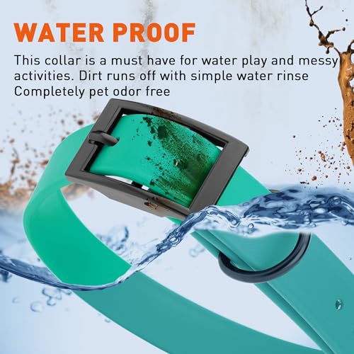 Image of Dogline Biothane Waterproof Dog Collar Strong Coated Nylon Webbing with Black Hardware Odor- Proof for Easy Care Easy to Clean High Performance Fits Small Medium or Large Dogs, Teal