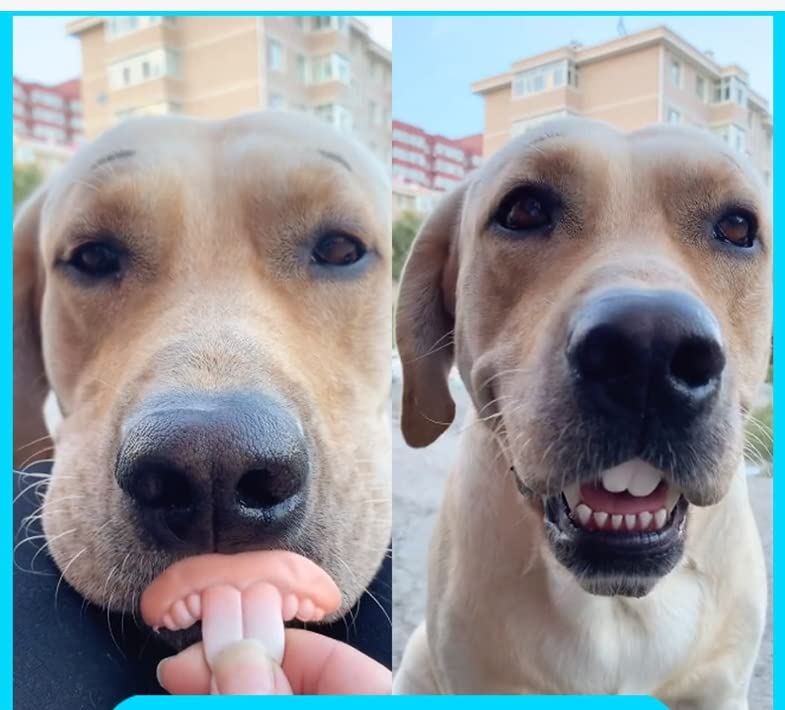 EHOTER Haustier Frech Hundeprothesen Spielzeughase Schneidezähne Falsche Zahnspangen Buckelzähne Schneidezähne Protrusion der Zähne Witzig Lustige Spielzeuge Kaninchenzähne Haustier Hund Kogi Hund