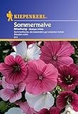 Port./Saatgut Sperli Blumensamen Sommermalve Mischung, grün