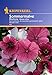 Produktbild Sperli Blumensamen Sommermalve Mischung, grün
