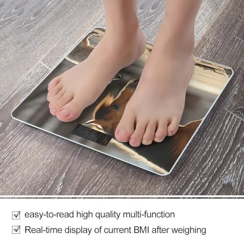 Báscula digital de baño con diseño perro y caballo miniatura 5